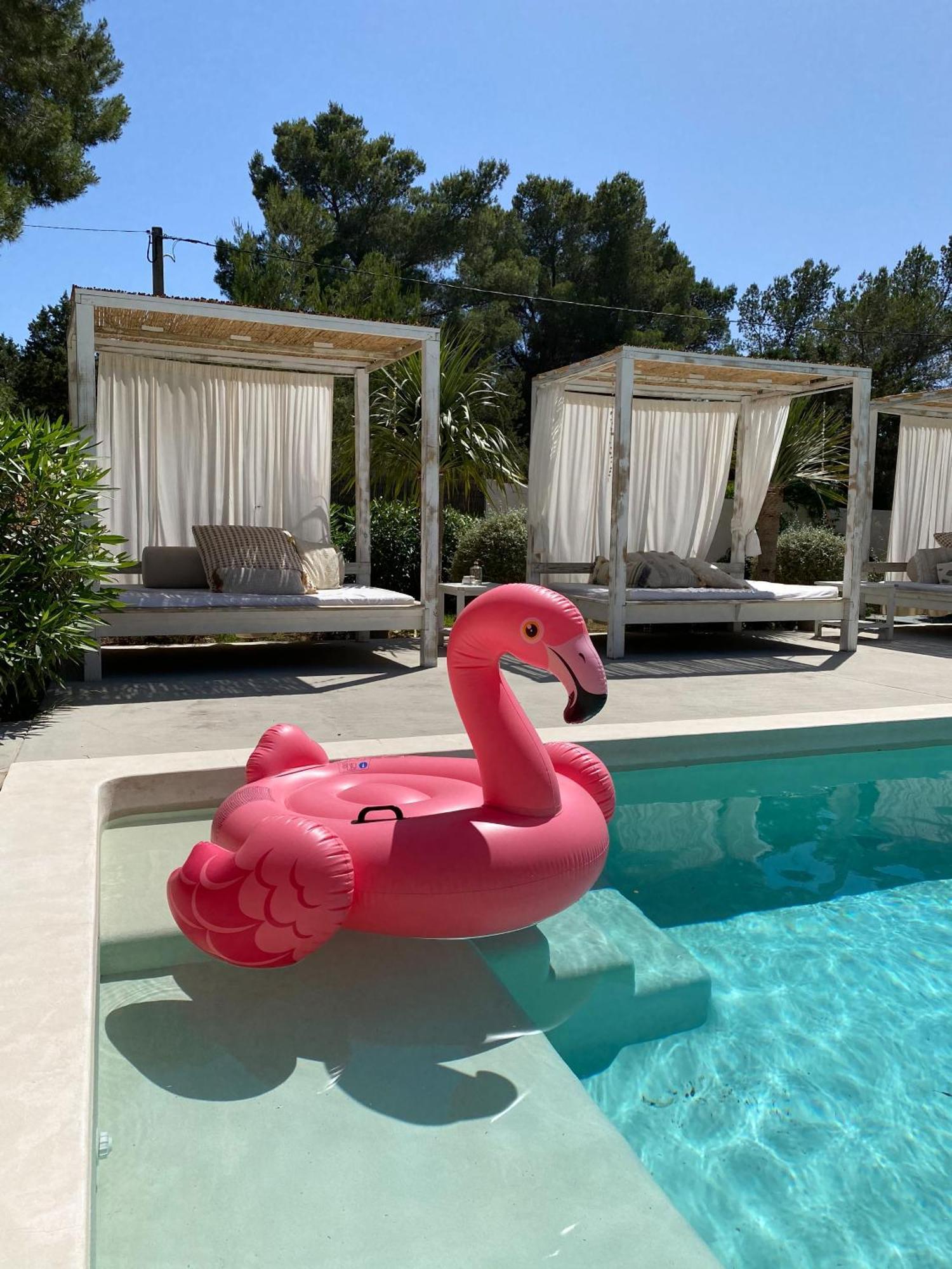 Boutique Hotel Casa Caracol - Apartments In Strandnaehe, Salzwasserpool, Fotovoltaik, Adults Only San José Eksteriør billede